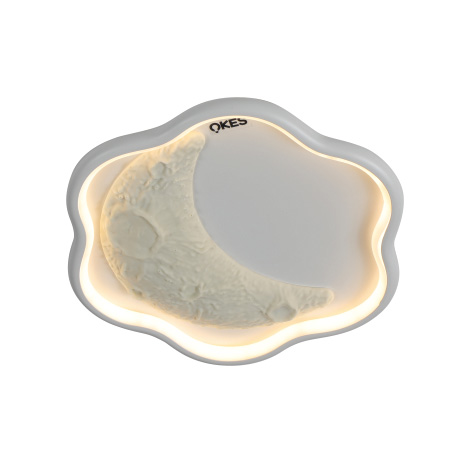 OS-BD056-花(huā)瓣